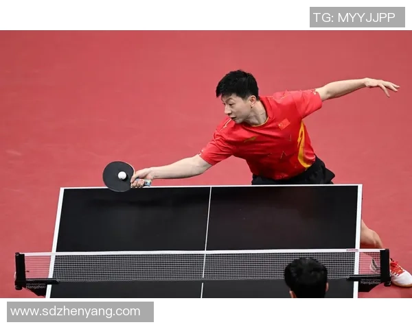 上海乒乓球队的崛起与发展探讨聚焦乒乓球的力量与未来